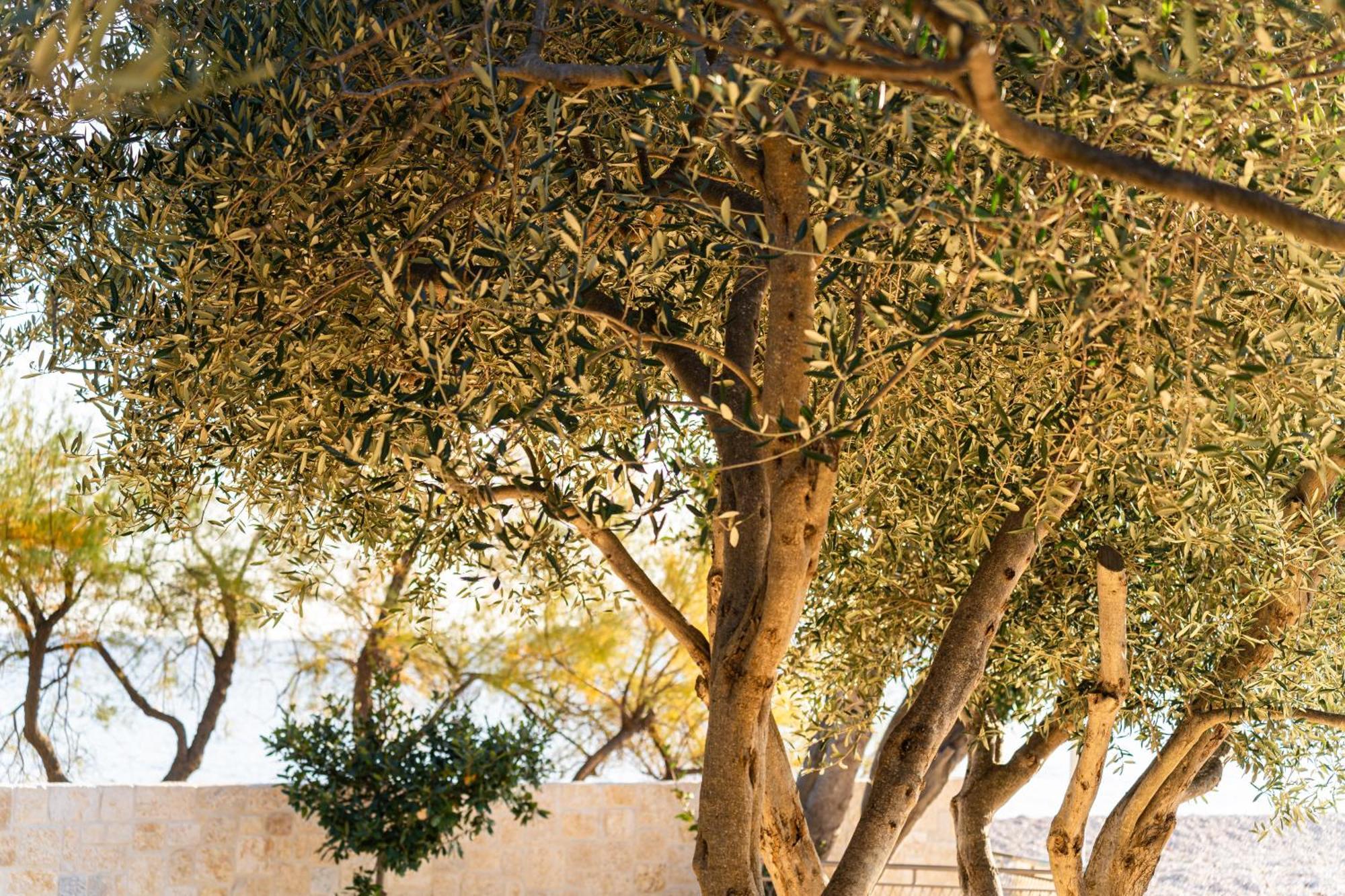 O'Life Boutique Apartments Βόντιτσε Εξωτερικό φωτογραφία
